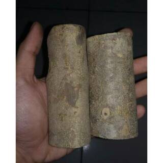 Kayu Ular Papua