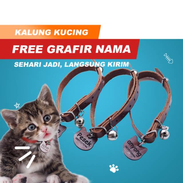 LOOD KALUNG KUCING PAW PAW / GRATIS UKIR NAMA