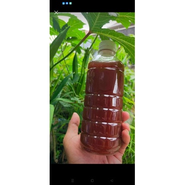 PSB PHOTOSINTETIC BACTERIA