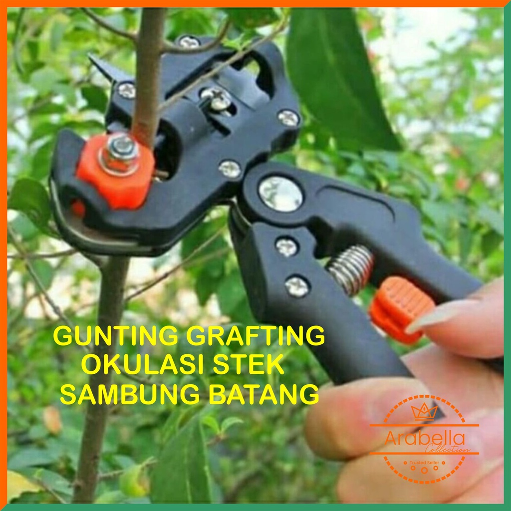 Jual Gunting Okulasi Sambung Batang Daun Rumput Dahan Ranting Tanaman Grafting Pruning Garden