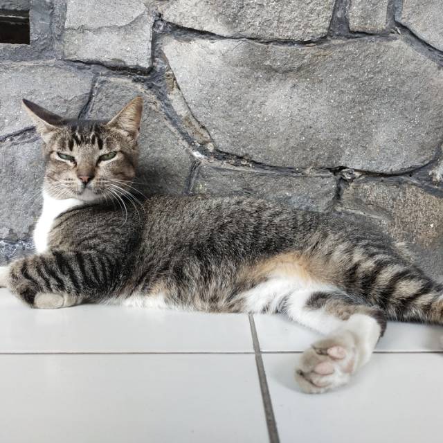 elsyanimargarethakereh