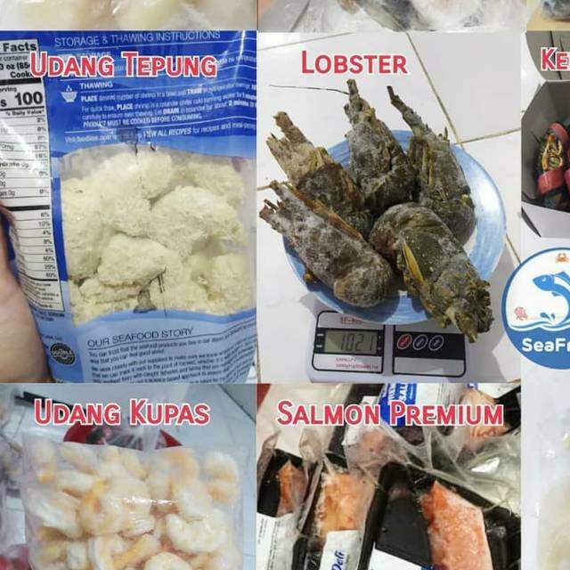 

Produk frozen seafood