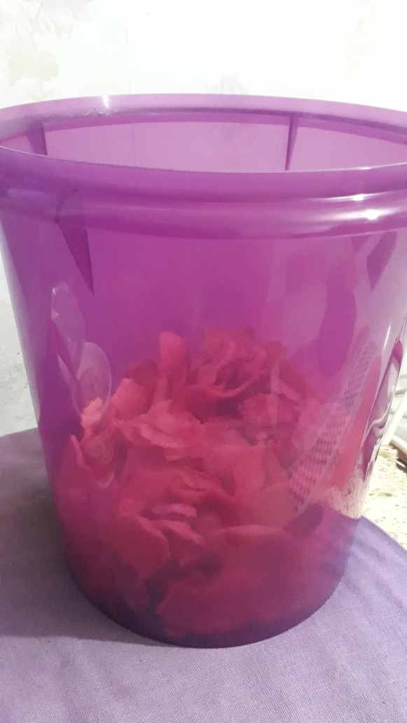 Toples Giant Canister 8.4 Liter