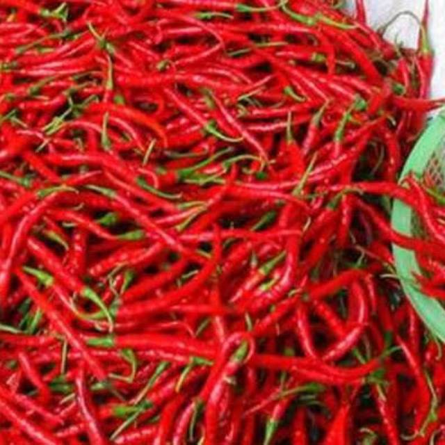 

Cabai merah kriting