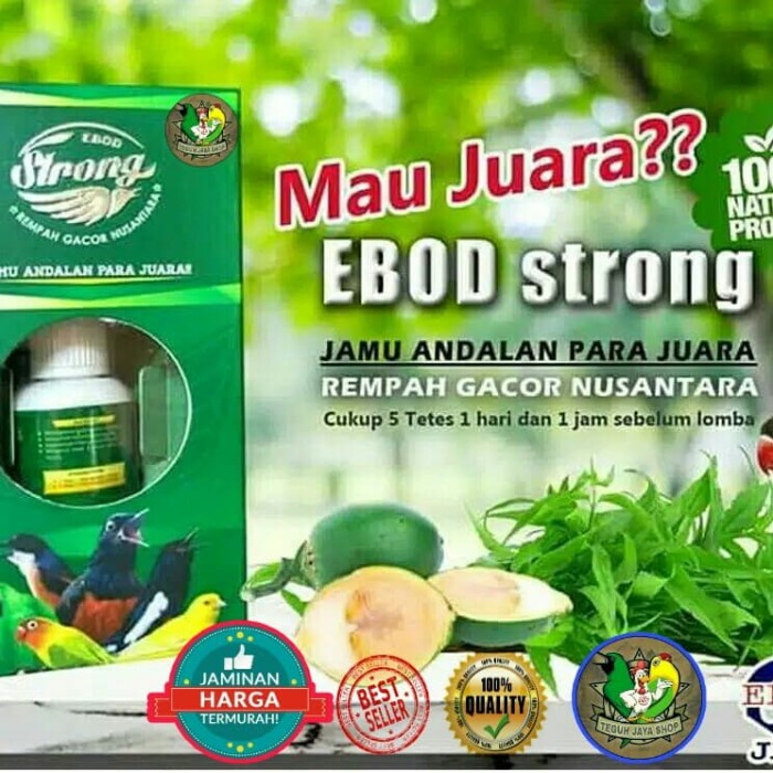 Vitamin Burung - Ebod Strong Vitamin Burung Andalan Para Juara