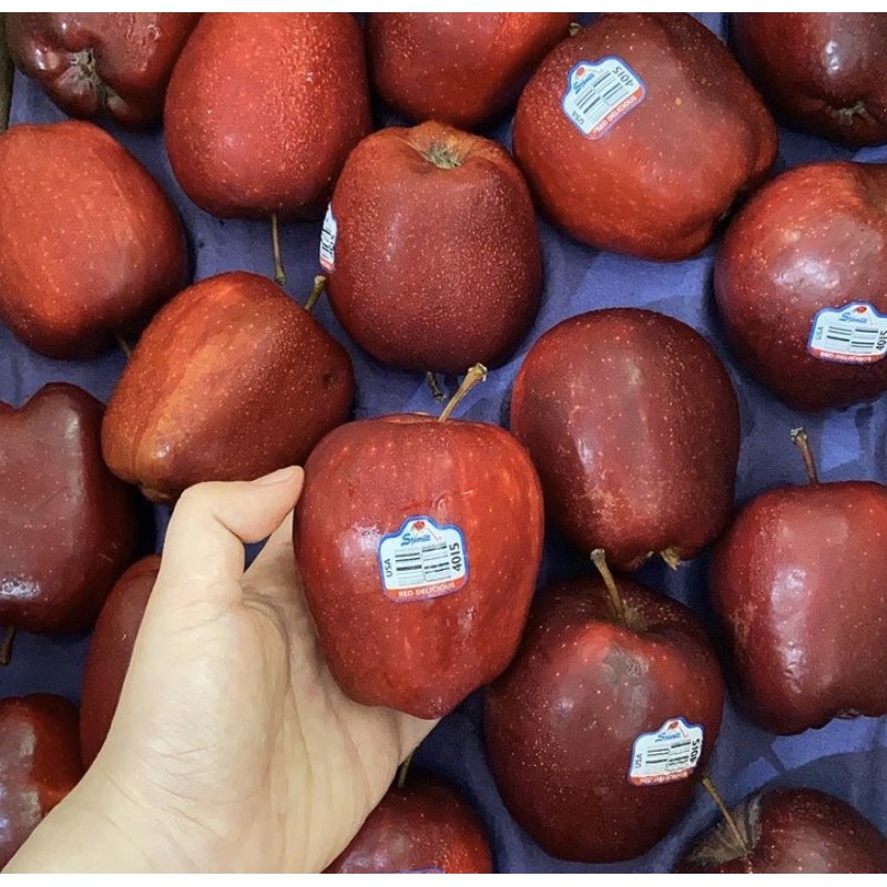 Buah Apel Red Usa Apel Merah Import Amerika Isi 6 Pcs Berat 900gr 1 Kg Shopee Indonesia