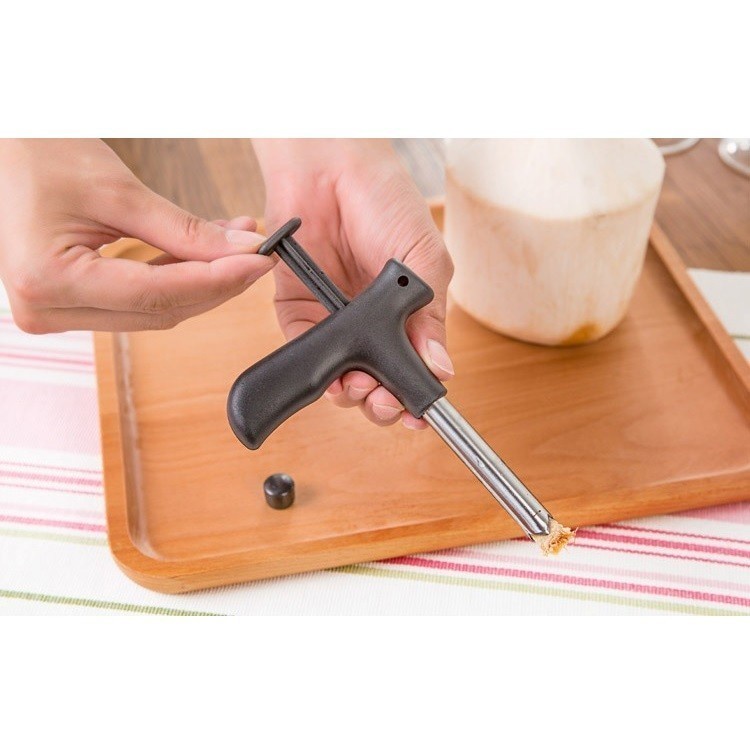 Stainless Steel Coconut Opener Tool Praktis