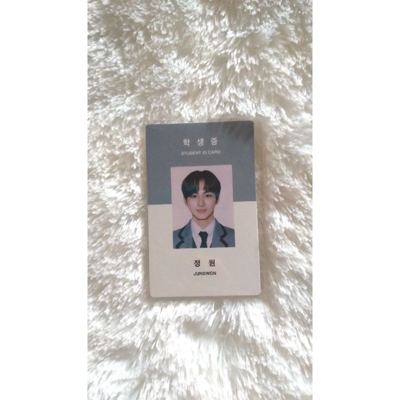 ID CARD JUNGWON ENHYPEN SG