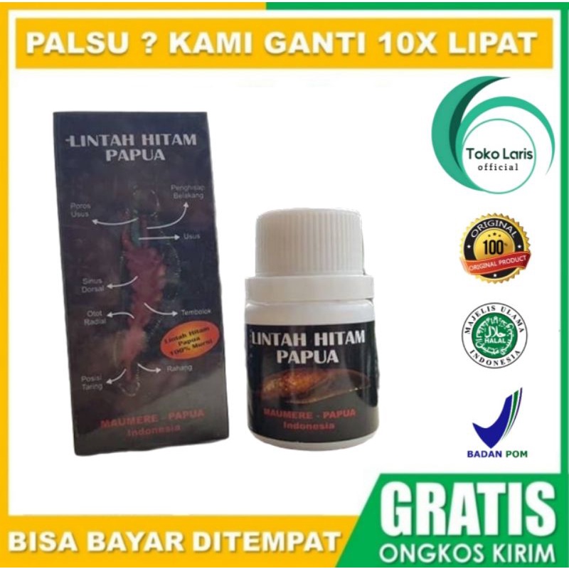 MINYAK TERAPI LINTAH HITAM PAPUA ORIGINAL ASLI PEMBESAR ALAT VITAL PENIS_KELAMIN PRIA