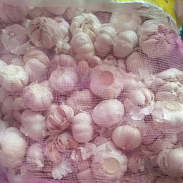 Bawang putih 1kg