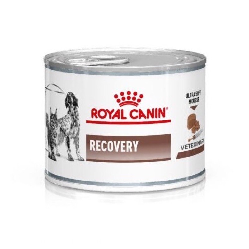 Royal Canin recovery