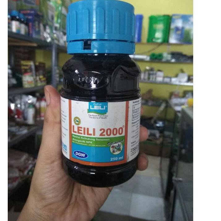 GROSIR  LEILI 2000// LEILI 250ML