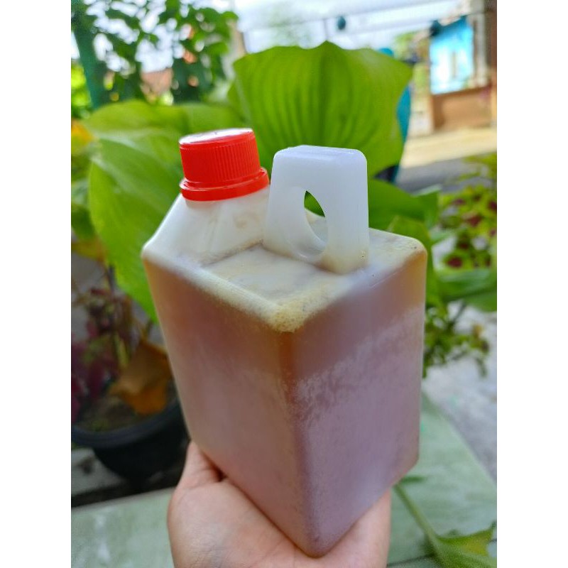 

MADU ASLI