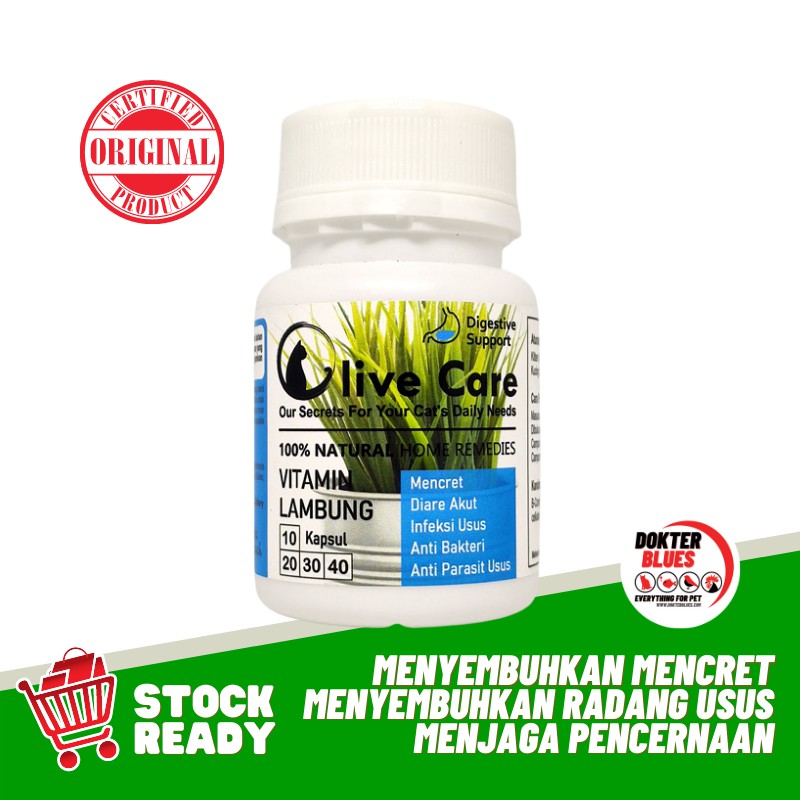 Olive Care Vitamin Kucing Mencret Diare Akut Pup Berdarah Radang Usus Gangguan Pencernaan Isi 10