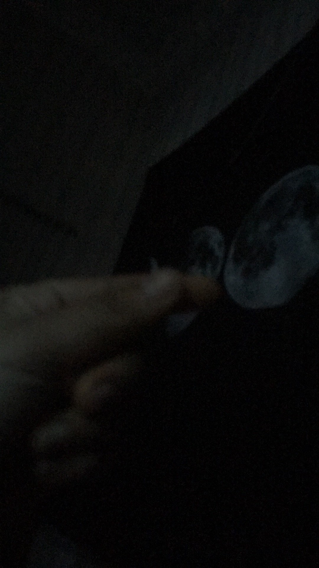 Bed Cover Set Motif Monstera Katun Lokal Star Ukuran King Size Queen Dan Single