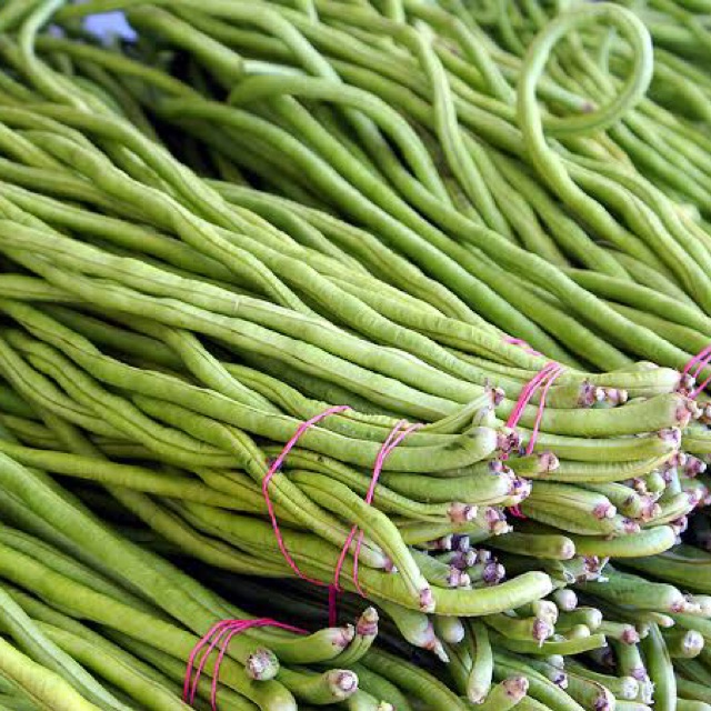 

Kacang Panjang (Long Beans) 500 gram - sayur curah