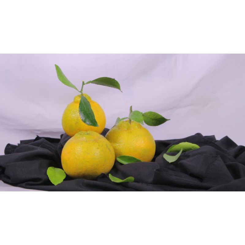 

Dried Lemon