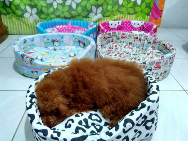 Pet bed / tempat tidur