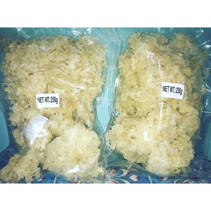 

Jamur salju