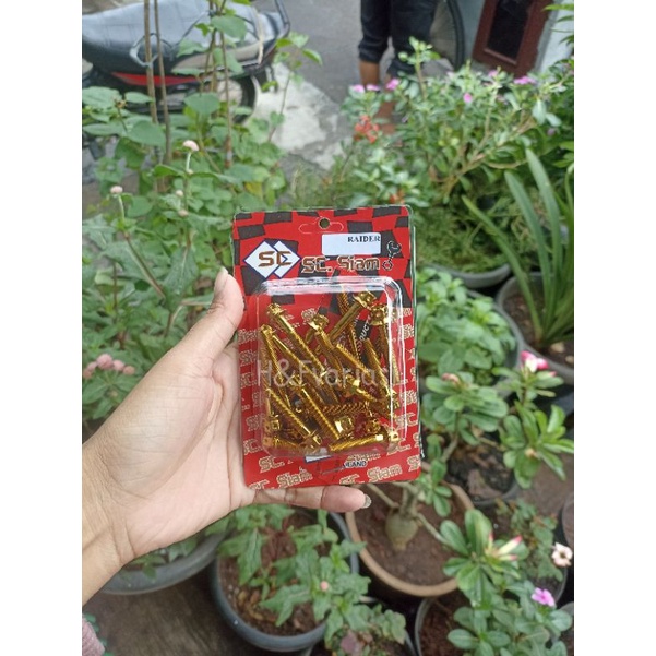 Set Baut Kalter Blok Mesin Satria FU Probolt Original Stainless Thailand