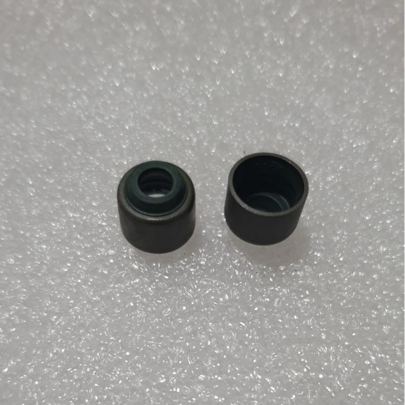 Seal klep set Kawasaki ninja 250 / 250 fi / athlete / ZX 130 / versys