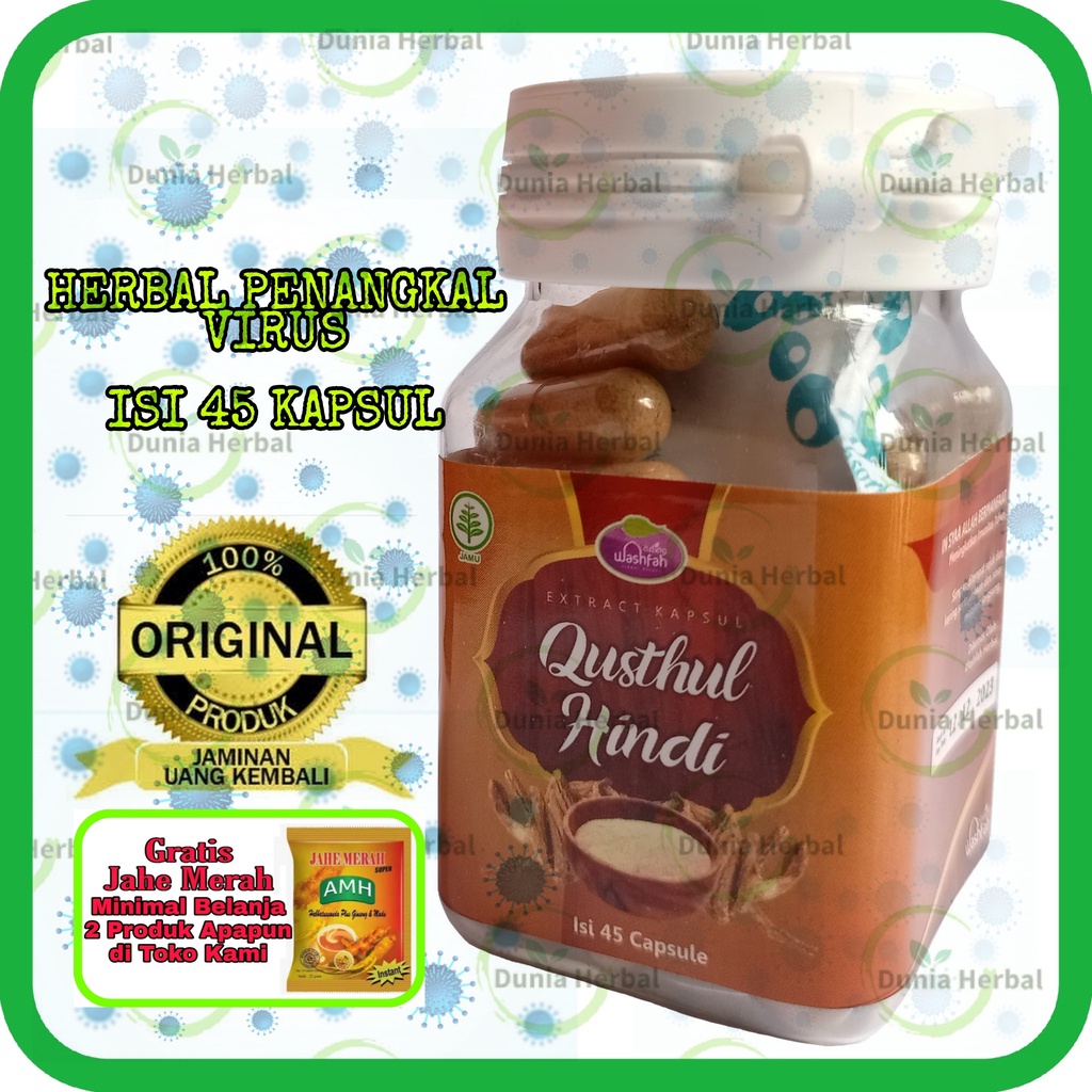 Qusthul Hindi ASLI 100 % - Qust Al Hindi Qist Al Hindi Kayu India Costus Root