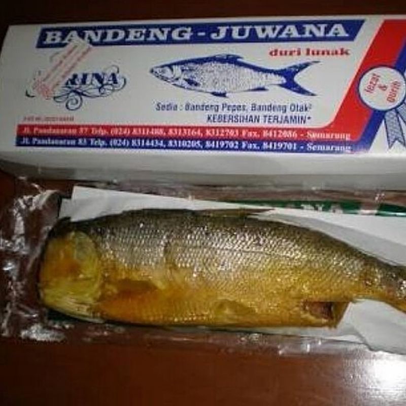 

Bandeng Juwana Erlina (Vacum Basah)