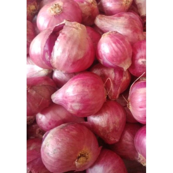 

Bawang Merah Super 1 kg