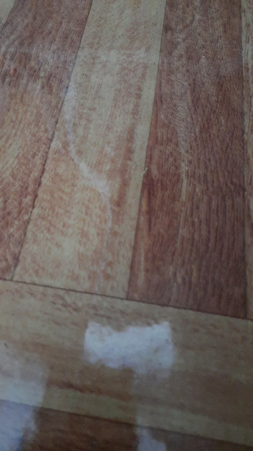 Plastik Lebar 2 Meter - Harga Unt 50 Cm