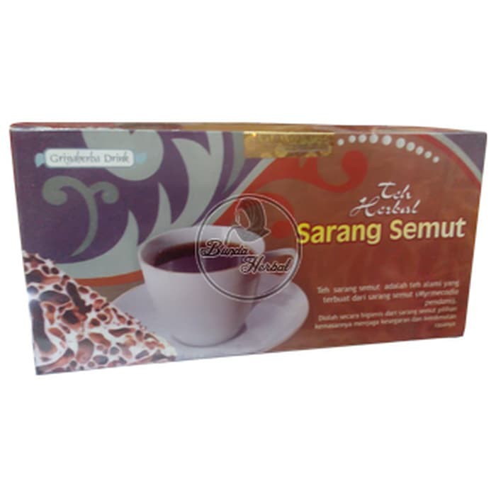 

Teh Celup Sarang Semut Griya Herba