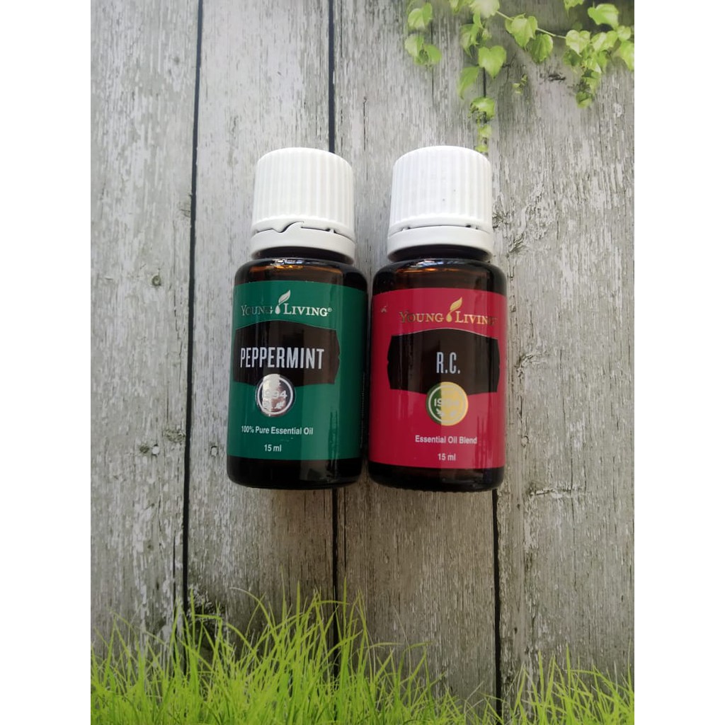 OIL YOUNG LIVING PEPPERMINT + RC