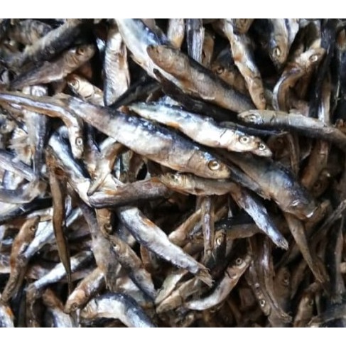 

ikan teri batu