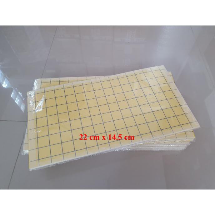 

Buruan Serbu] 10 Lembar Glue Pad / Gluepad / Kertas Lem Fly Catcher 22 X 14.5 Cm