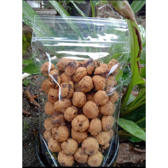 

SOES COKLAT LUMER/SOES COKLAT KERING