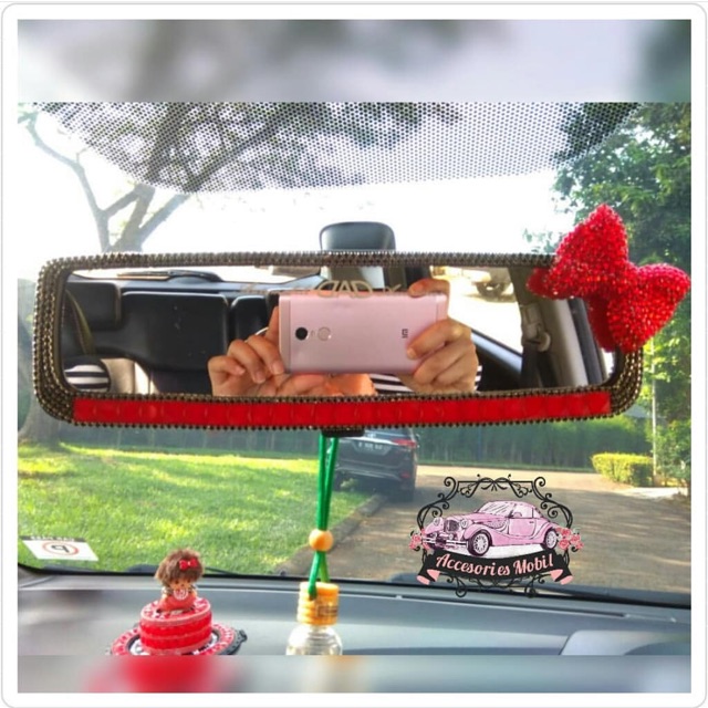 Spion crystal bling2