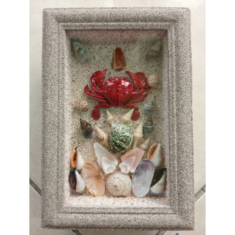 Hiasan dinding. pajangan dinding. dekorasi rumah. hiasan dari kerang. kerajinan laut