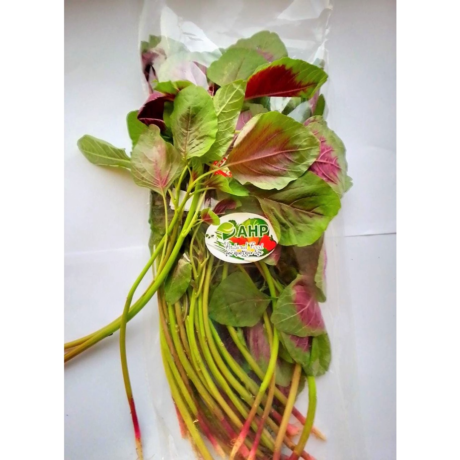 

AHP BAYAM BELANG 250 GR / SAYUR ORGANIK / FRESH VEGETABLES