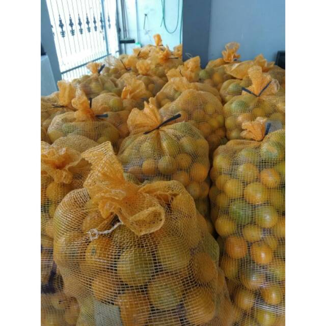 

SALE MURAH JERUK BABY MALANG JAVA JERUK PERAS PERAH MANIS SEGAR SEHAT ALAMI ORIGINAL HARGA 1 KG