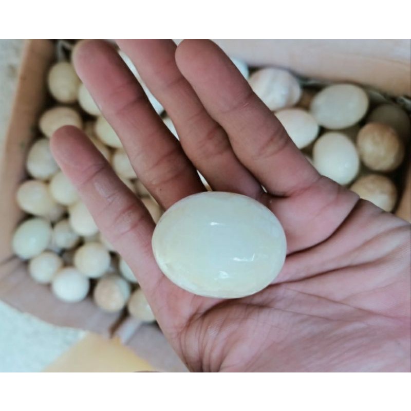 Telur Puyuh Batu Onyx