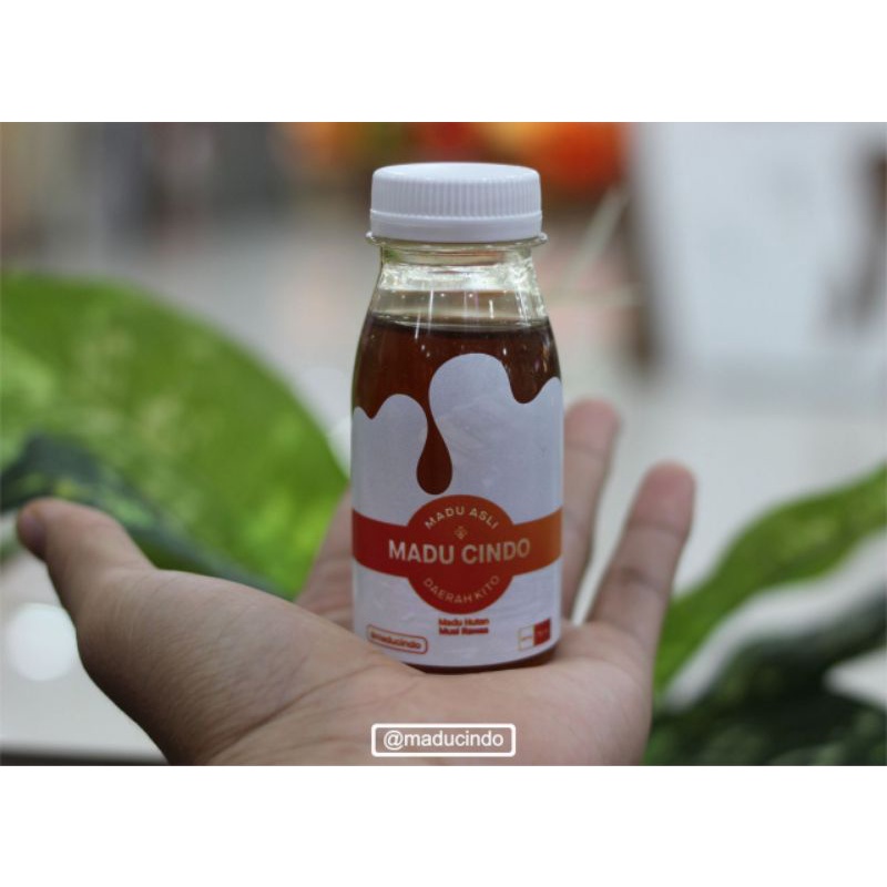 

madu cindo