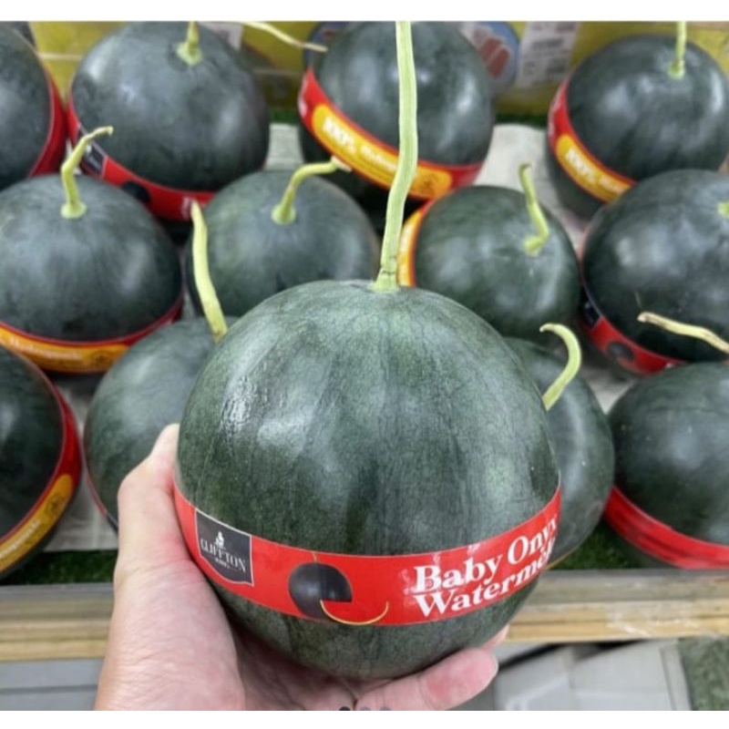 

semangka baby / semangka baby Jepang / baby onyx watermelon 1 buah