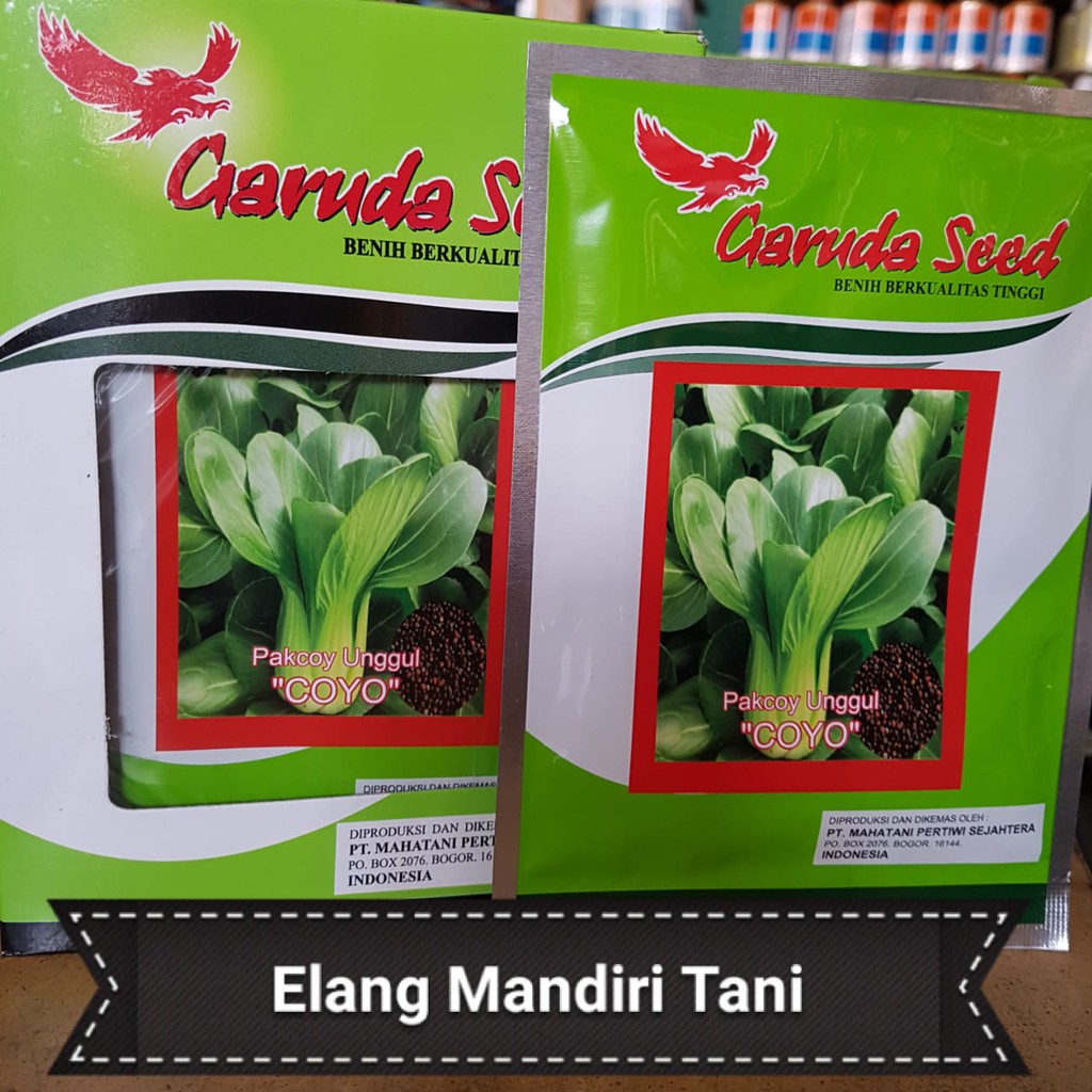 Bibit Pakcoy Coyo 10gr Benih Sayuran Berkualitas Tinggi Garuda Seed