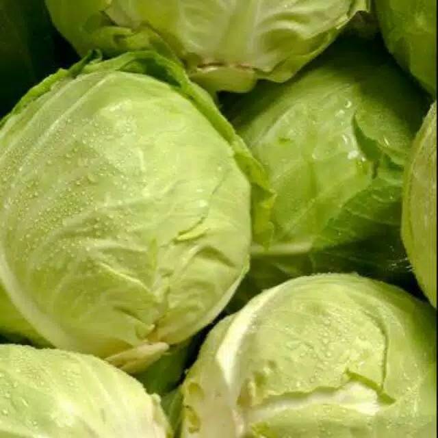 

KoL berat 1.5kg lebih