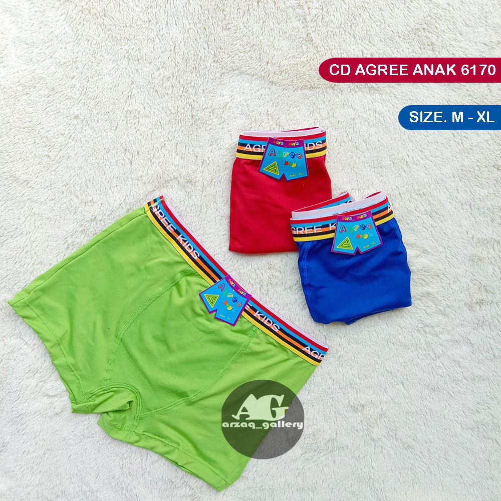 Grosir 6-12 pcs Boxer anak laki-laki Agree boys 6170