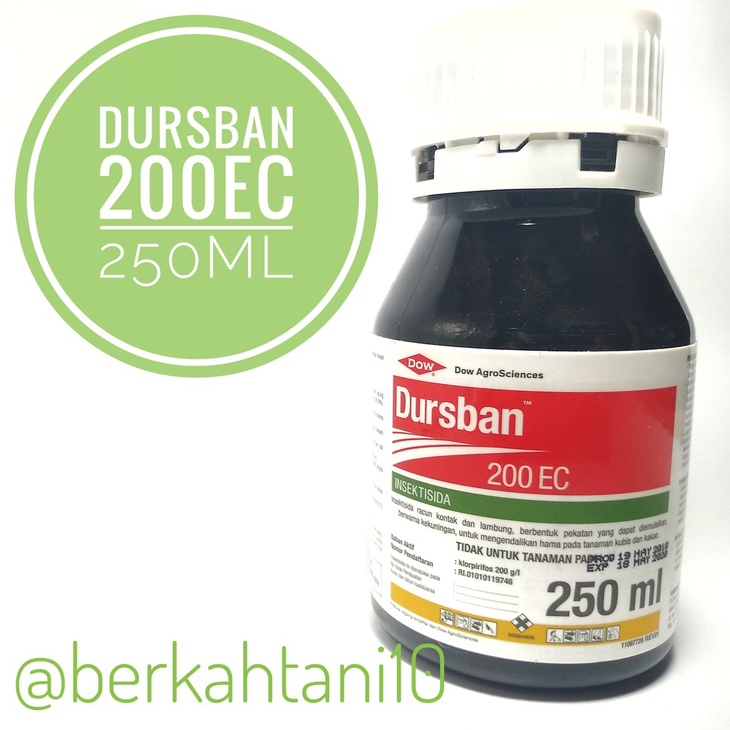 Dursban 200ec 250 Ml Obat Lalat Buah Dan Obat Penghisap Buah Shopee Indonesia