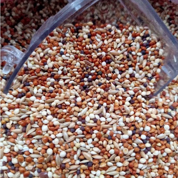 MIXSEED PAKAN BIJI CAMPUR UNTUK FINCH PARKIT LOVEBIRD DLL
