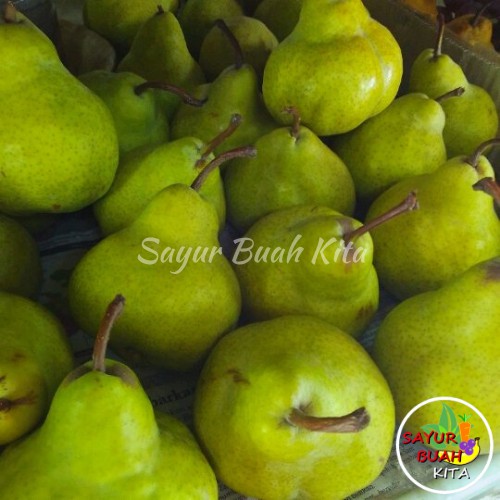 

Buah Pear Pir Hijau / Pir Jambu / Pir Packam Segar Per Kg