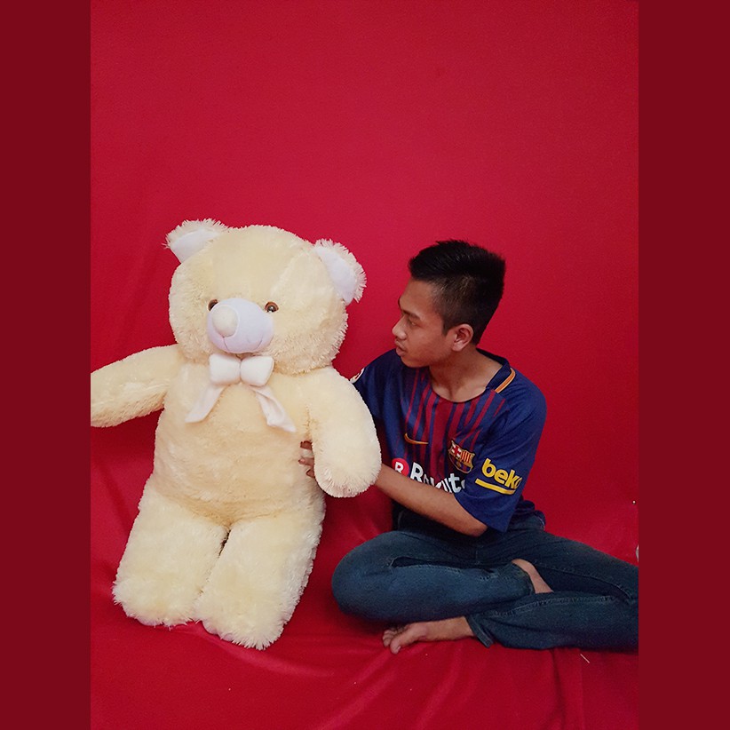 Boneka Beruang Teddy bear 1M jumbo