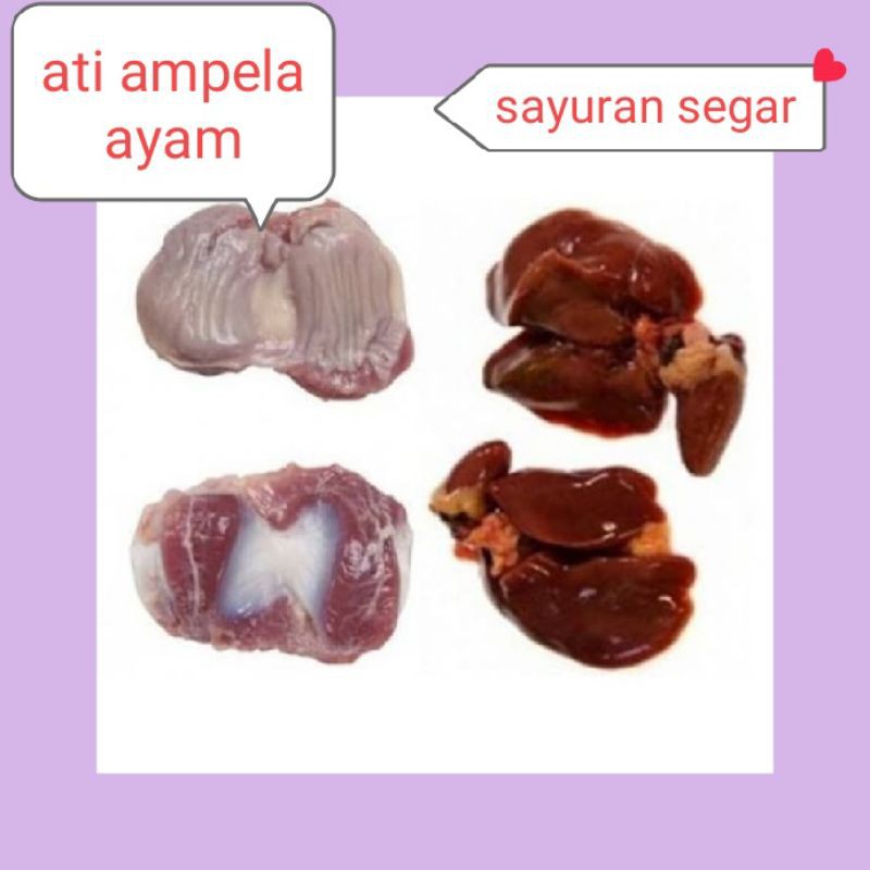 

HATI DAN AMPELA AYAM SEGAR