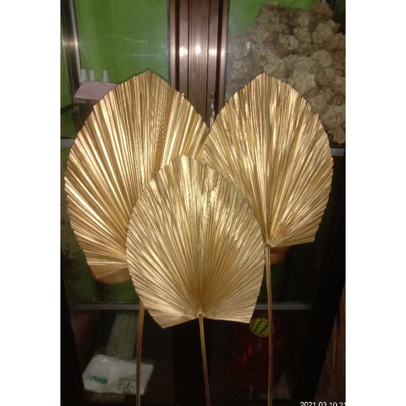 daun palem gold | daun kering dekorasi rustik